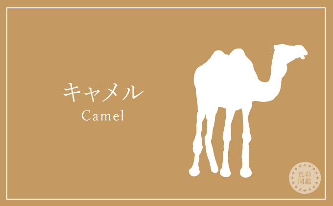 キャメル Camel