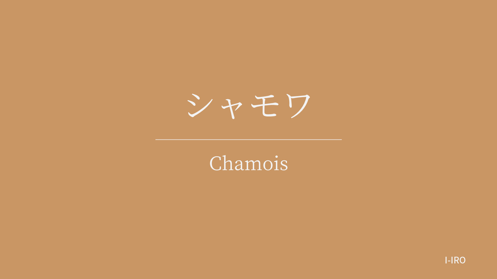 シャモワの色見本