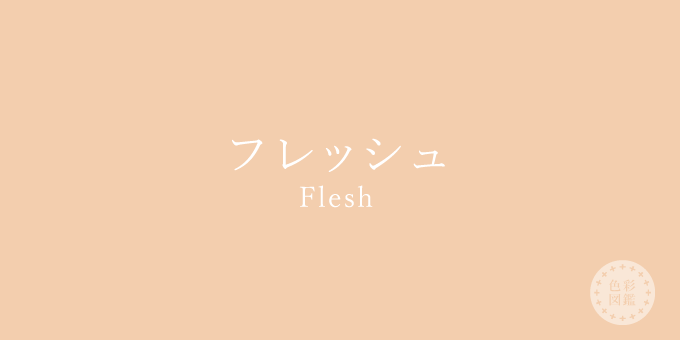 フレッシュ（Flesh）の色見本