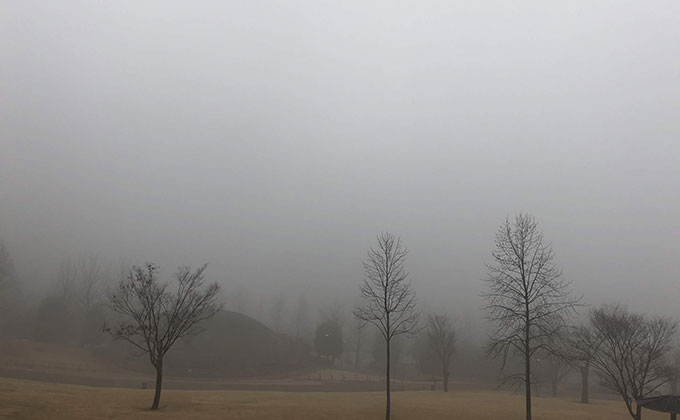 霧のかかる公園