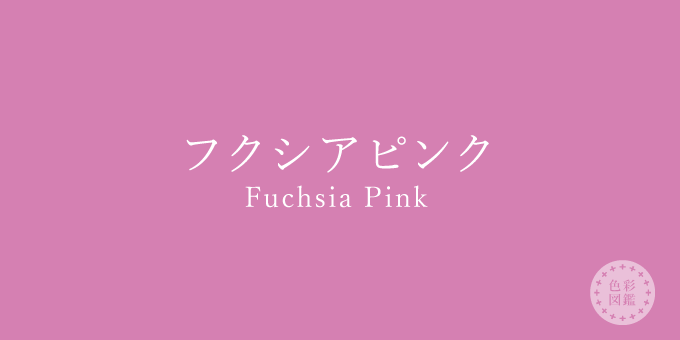 フクシアピンク（Fuchsia Pink）の色見本