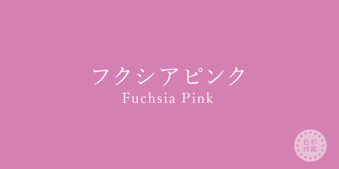 フクシアピンク Fuchsia Pink の色見本 色彩図鑑 日本の色と世界の色