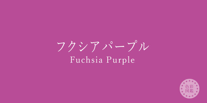 フクシアパープル Fuchsia Purple の色見本 色彩図鑑 日本の色と世界の色