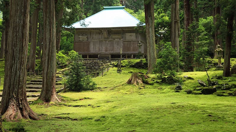 白山平泉寺の苔