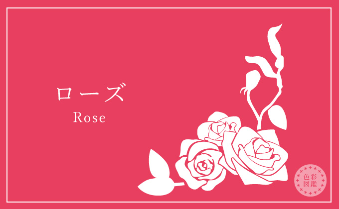 ローズ Rose