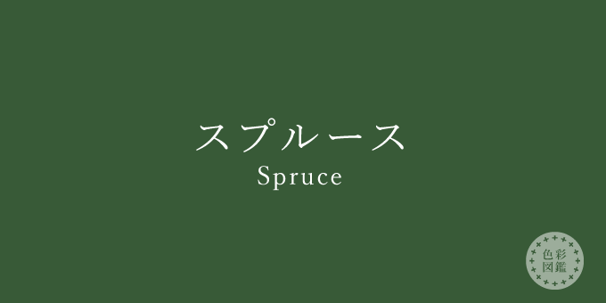 スプルース（Spruce）の色見本