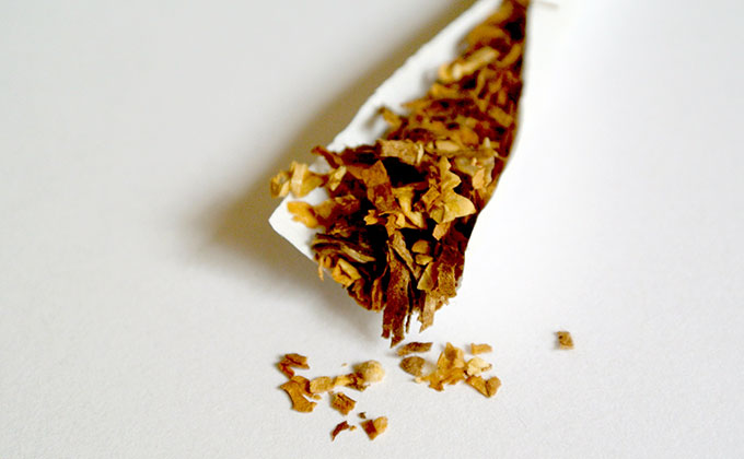 The color of tobacco leaves