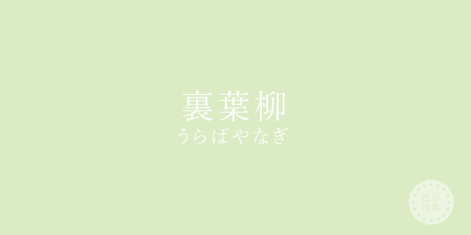 裏葉柳（うらばやなぎ）の色見本