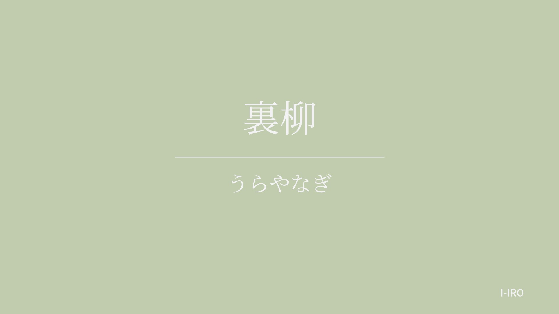 裏柳の色見本