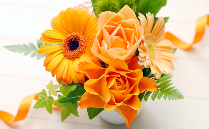 オレンジ色の花の花言葉 ガーベラ カーネーション バラ カラーセラピーランド カラーセラピーライフ