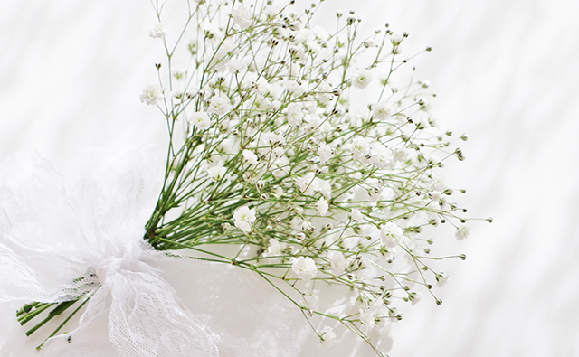 白い花の花言葉 スズラン ユリ カモミールなど カラーセラピーランド