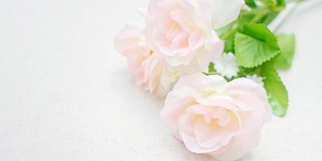 白色のバラの花言葉