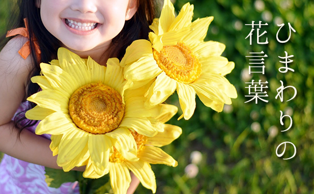 色で変わる 向日葵 ひまわり の花言葉 黄色 紫 白 カラーセラピーランド